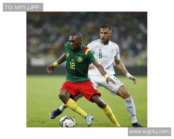 喀麦隆足球巨星在非洲赛场的辉煌历程与传奇故事