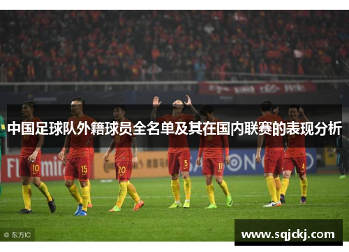 中国足球队外籍球员全名单及其在国内联赛的表现分析