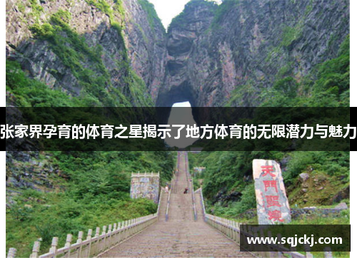 张家界孕育的体育之星揭示了地方体育的无限潜力与魅力